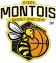 Club de basket landais